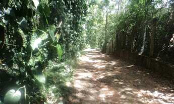 Imagem 4: Sítio Itatiba/SP/BR (Mau