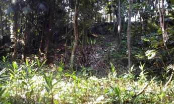 Imagem 4: DIADEMA - Terreno Padrão - ELDORADO