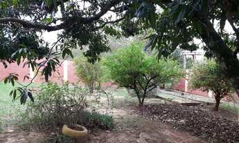 Imagem 4: Lindíssima Chácara