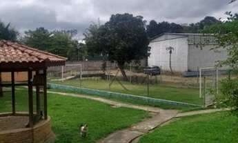 Imagem 6: Chácara c/ escritura: 2 casas, Piscina, Mini SPA c/ Ofurô, Lareira, Árvores Frutíferas, Ac