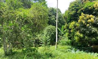 Imagem 6: Costeira espetacular com 15747 m² por R$ 4.800.000 - Flechas - Ilhabela/SP