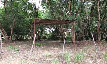 Imagem 2: Lote/Terreno para venda tem 26400 metros quadrados em Dois Córregos - Valinhos - SP