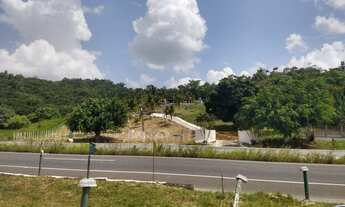 Imagem 7: Granja em bonança