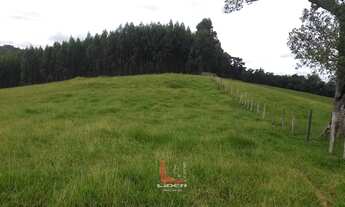 Imagem 3: Sítio com piscina Pinhalzinho