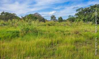 Imagem 3: FAZENDA COM 526HA, NA BEIRA DO ASFALTO, 155KM DE BRASILIA