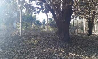 Imagem 5: Chácara Jóquei Clube