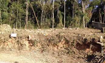 Imagem 4: Terreno de condomínio em Serra da Cantareira, SP, 1.100 m², projeto aprovado desmatado