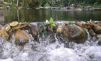 Imagem 5: Térrea para venda tem 110 metros quadrados com 2 quartos em Taquari - Paraty - RJ