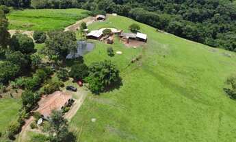 Imagem 2: Sítio de 6,5 alqueires em Pardinho-SP