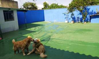 Imagem: Casa para venda com 3 quartos em Vila Ideal