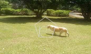 Imagem 4: Chácara simples e confortável, com muito verde e bastante espaço no Recanto dos Pássaros