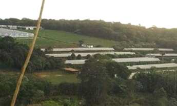 Imagem 2: Terreno à venda, 800 m² no Jardim Maracanã em Atibaia/SP - TE