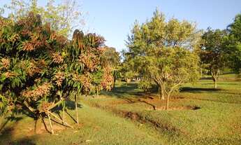 Imagem 2: Boituva - Chácara - Chácara dos Pinhais