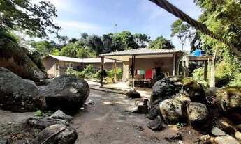 Imagem: Sitio, Chacara, com casa e mata nativa 43192