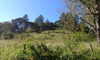 Imagem 5: VENDO CHACARA DE 40.000M² COM ESCRITURA NO EMBU GUAÇU DIVISA COM JUQUITIBA (4153