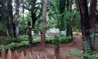 Imagem 1: Excelente Chácara