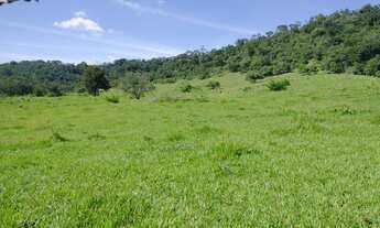 Imagem 3: Sítio, Chácara, Terreno a Venda com 77.500 m² 3,2 Alqueres em Bairro Rural - Porangaba - S