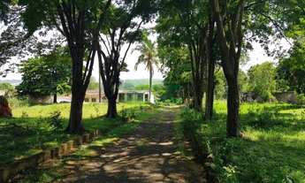 Imagem 3: área - Itapavussu - Cosmópolis