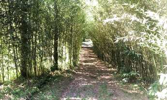 Imagem 3: Area com escritura definitiva pronto p construir um residencial ou condominio