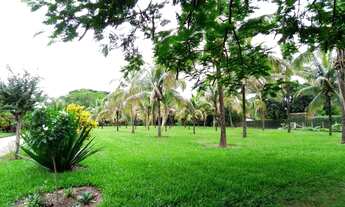 Imagem 3: Haras c/ 11 alqueires a venda em São Pedro, todo completo c/ 6 piquetes, 3 casas, em frent