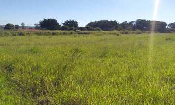 Imagem 5: Área plana c/ leve aclive, medindo 23.300m², próx a cidade. Ótimo para industrias.(AR0001