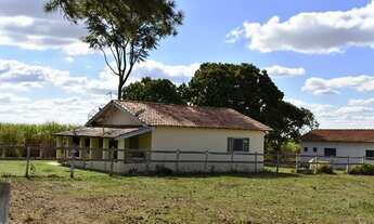 Imagem 6: Haras formado com pista na região de Tietê