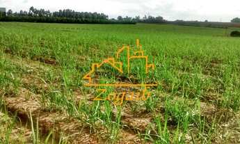 Imagem 4: Terreno - Parque da Represa - Paulínia