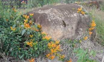 Imagem 7: Área à venda, 24000 m² por R$ 850.000,00 - Chácara Alpina - Valinhos/SP