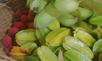 Imagem 3: CHÁCARA A VENDA EM ÁGUAS DA PRATA!!!!