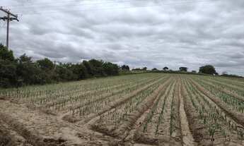 Imagem: Fazenda/Sítio/Chácara para venda com 48000