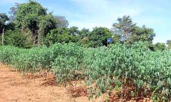 Imagem 5: Chácara em Petrolina de Goias 4 mil metros quadrados