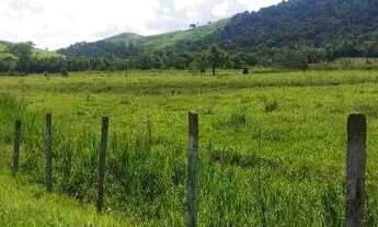 Imagem 2: Terreno 181.000 m2 plaino e de frente para Via Dutra e m Santa Isabel SP