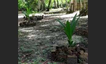 Imagem: Vendo ou troco por outra