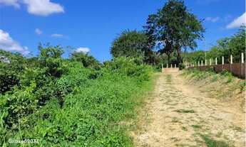 Imagem 7: Vende-se um encantador sítio em São Lourenço da Mata