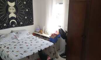 Imagem 5: São Paulo - Apartamento Padrão - Tucuruvi