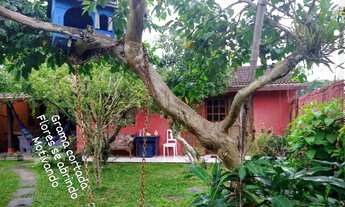 Imagem: Alugo linda casinha no CAMPECHE por 5 meses