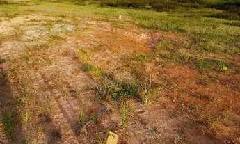 Imagem 4: Vendo OU alugo) lote / terreno /galpão 450m² , muribeca, Jabotão dos guararapes