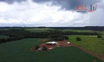Imagem: Fazenda para Venda em Centro Primavera do