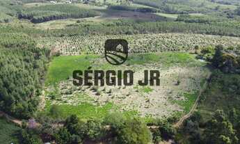 Imagem 5: Sítio com 7,9h, cabana, casa e piscina em Triunfo