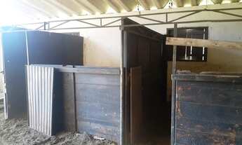 Imagem 5: Área. produtiva para venda com 70ha metros quadrados em São Caetano - Porto Alegre - RS