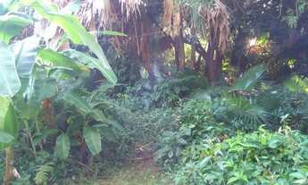 Imagem 6: Terreno em Ipanema