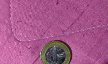 Imagem 2: Moeda da beija-flor 25 anos. Colecionadora