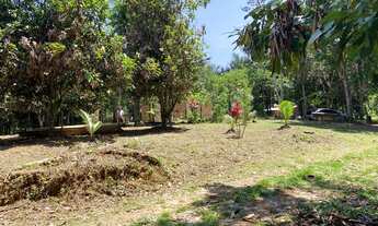 Imagem 2: Sítio BR 174 km126 (Comunidade Jardim Floresta