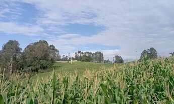 Imagem 4: Terreno Rural 7,5 alqueires