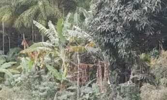 Imagem 5: Terreno próximo ao Cantinho da tilápia codigo: 85098