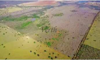 Imagem 2: Fazenda em Unaí - Minas Gerais, à venda com 537ha - Dupla Aptidão
