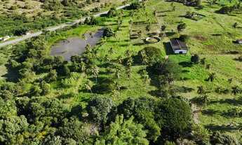 Imagem 3: Fazenda com 50 hectares na região de São Gonçalo do Amarante cortada pelo rio Potengi