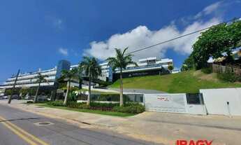 Imagem: Excelente Cobertura 3 dormitório(s) em