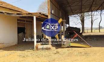 Imagem 3: Chácara 2 alqueires Perto de Vila Azul Rio Preto