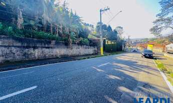 Imagem 3: TERRENO - SUÍSSA - SP